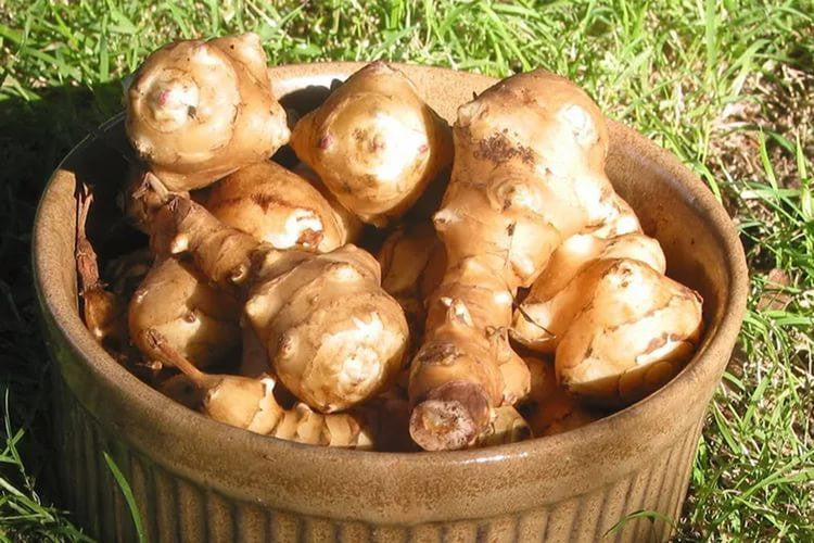 Գետնախնձոր