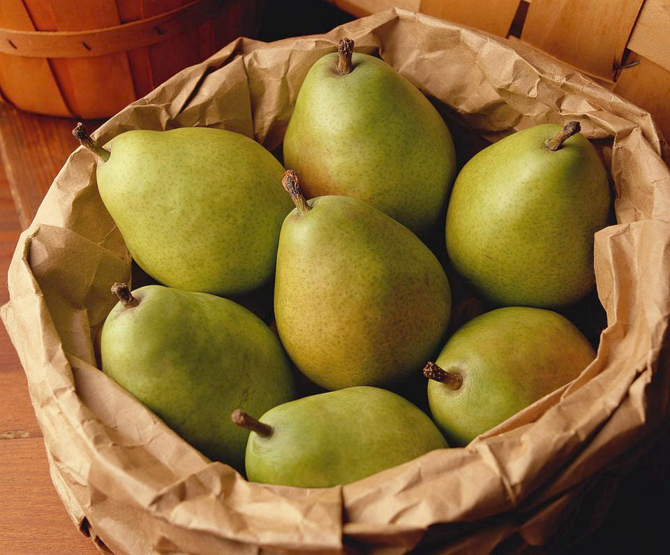 Տանձ տեղական