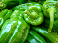 Պղպեղ կծու