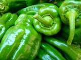 Պղպեղ կծու