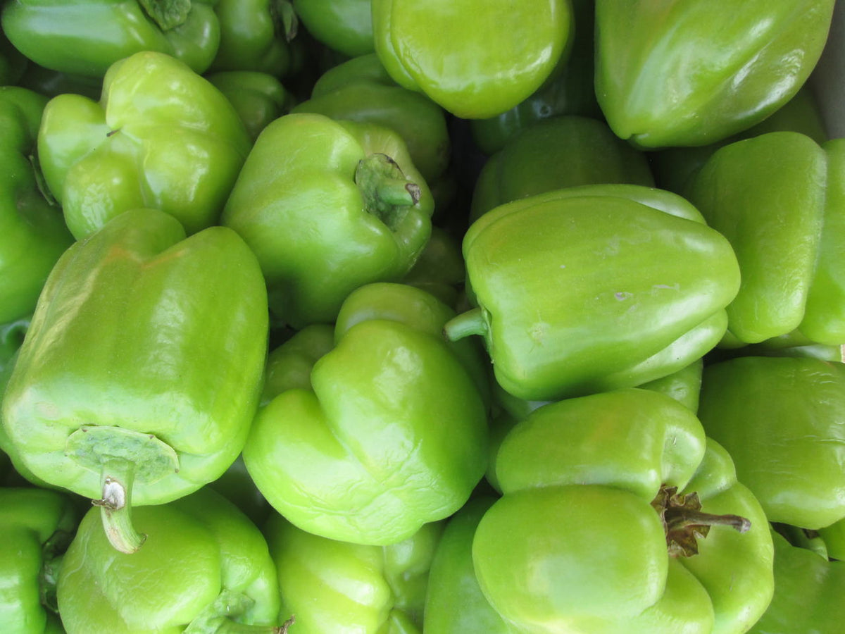 Պղպեղ կանաչ