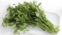 Մաղադանոս